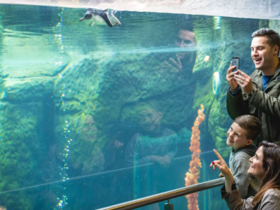 International-Antarcic-Centre-400x300